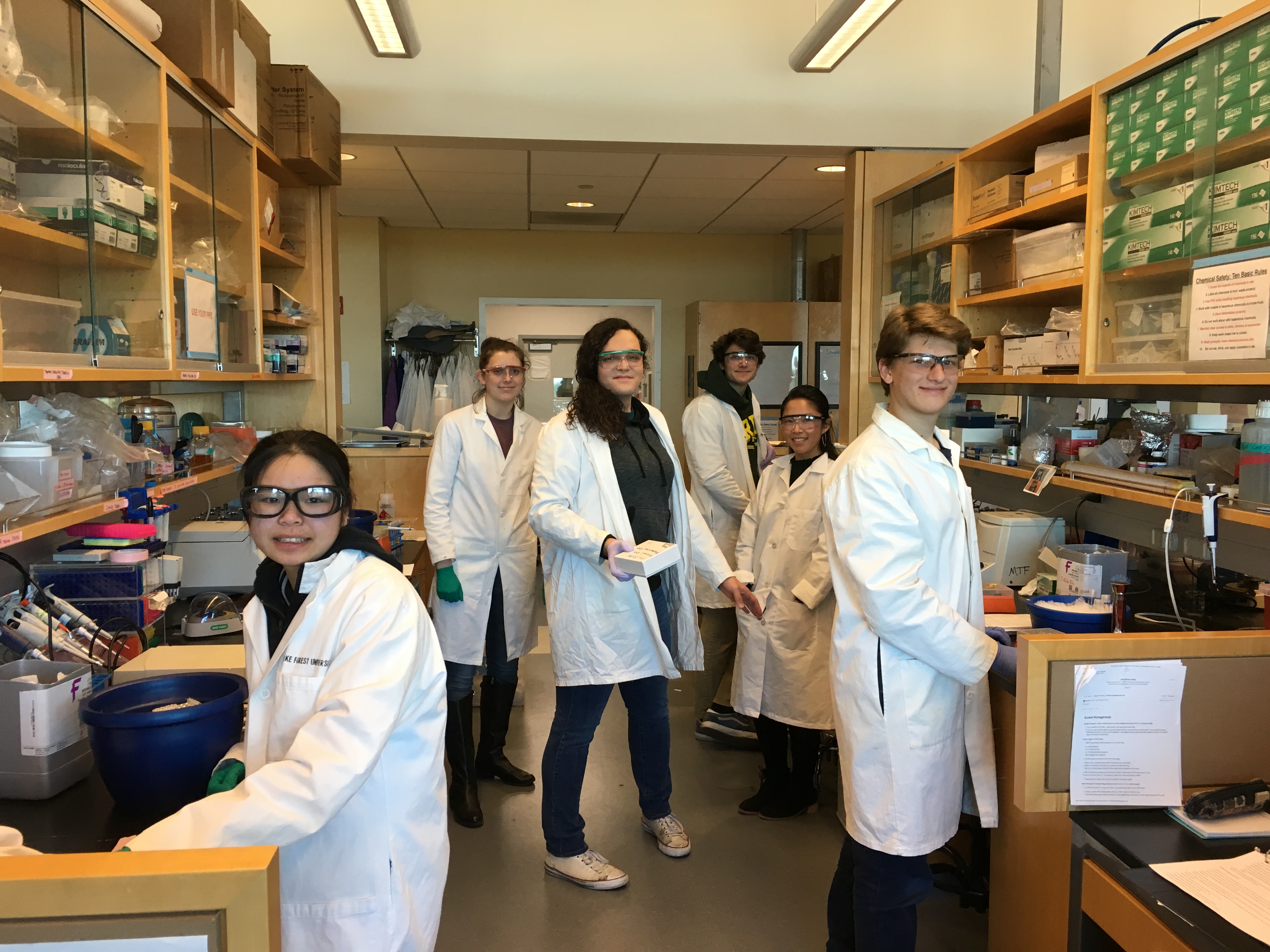 Undergrads in the lab