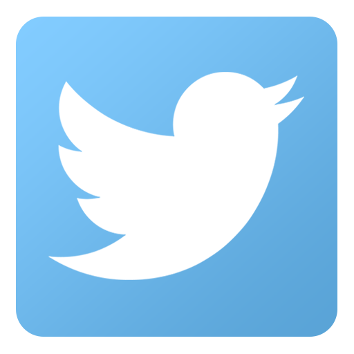Twitter Profile Link