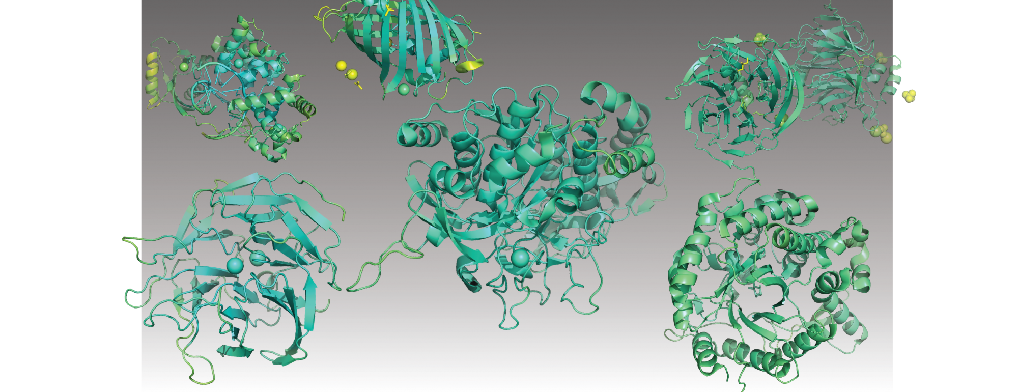 Pymol rendered published enzymes